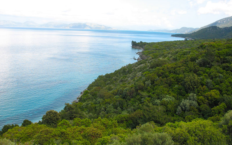 Dilek yarım adası